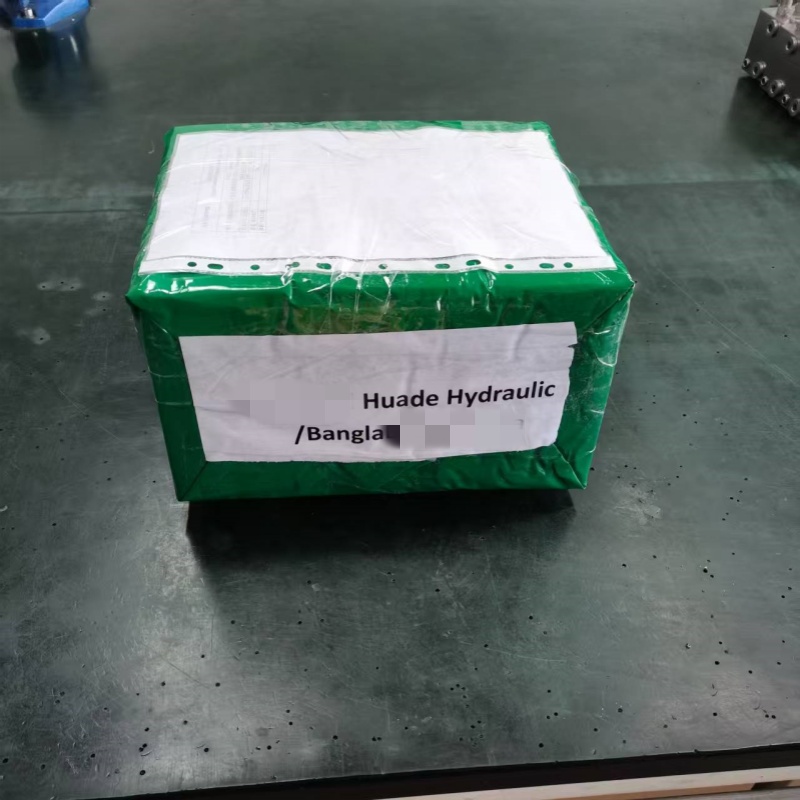 Huade Hydraull Lireal National Valve 4We10J31B / CG24N9K4 Өнөөдөр тохируулсан ачилтыг дуусгасан